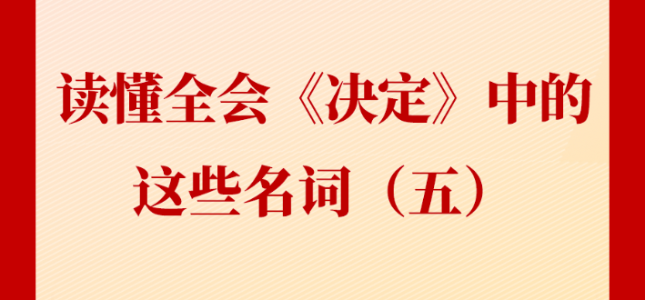 新闻多一点丨读懂全会《决定》中的这些名词（五）